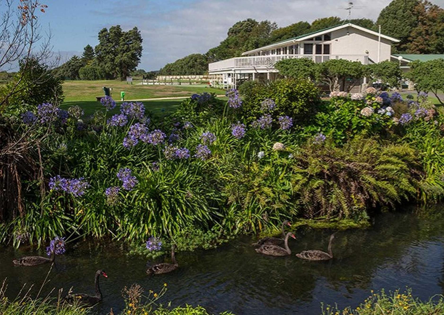 Waikanae Studio B&B Eksteriør billede